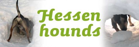 hessenhounds